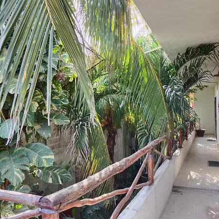 Casa Lupita-2