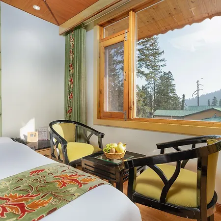 Hotel Pine Spring Gulmarg-3