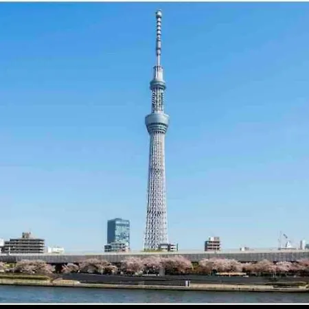 Momo Palace-2