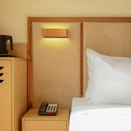 Clarks Inn Indore-3