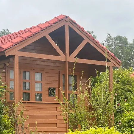Leo Wooden Resorts-2