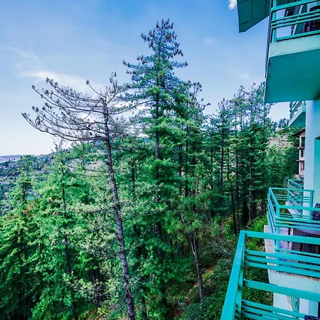 Nature Valley View Resort Mashobra !! Luxury Choice !! Gaming Zone !! Open Terrace !! Big Parking-3