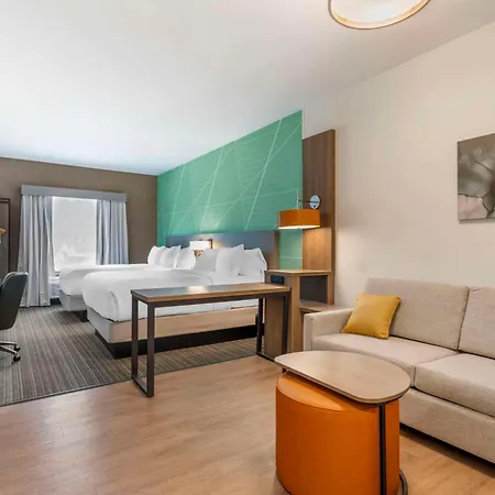 Comfort Suites Gatlinburg Downtown-Convention Center-3
