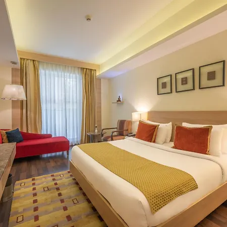 Echor Shimla Hotel - The Zion-2