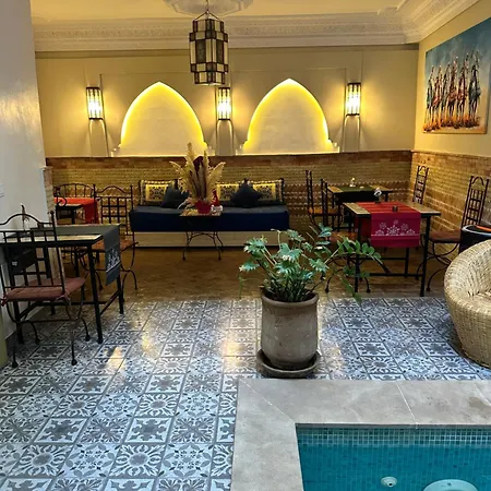 Riad Safina-2