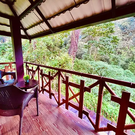 The Raarees Mist Resort, Munnar - Nested In Nature'S Lap-2