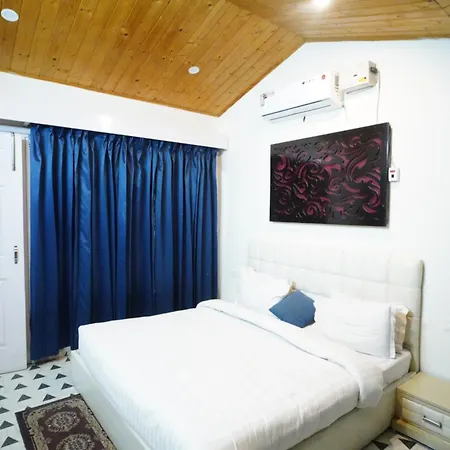 The Castle Villa Pine View Kasauli-2
