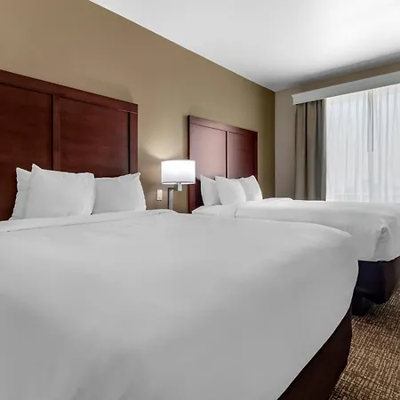 Comfort Suites Plano - Dallas North-2