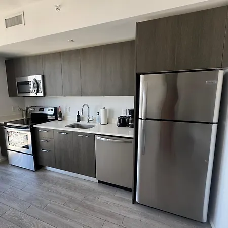 Alea Miami-3