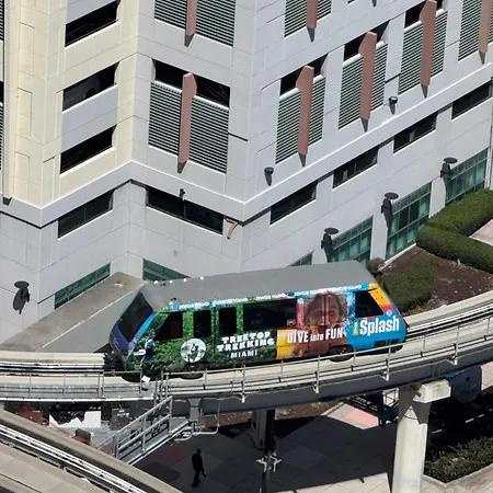 Alea Miami-3