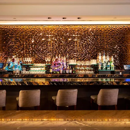 Hilton Americas - Houston-2