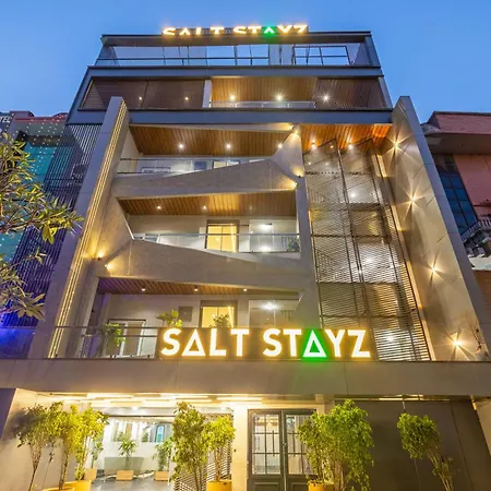Saltstayz Premier - Paschim Vihar-3
