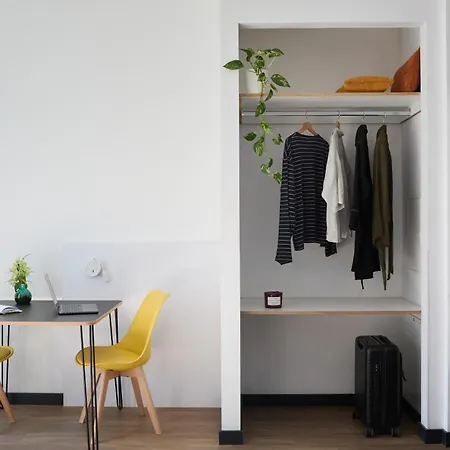 Homaris Kreuzberg 61-3