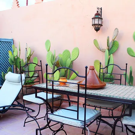 Riad Alida-2