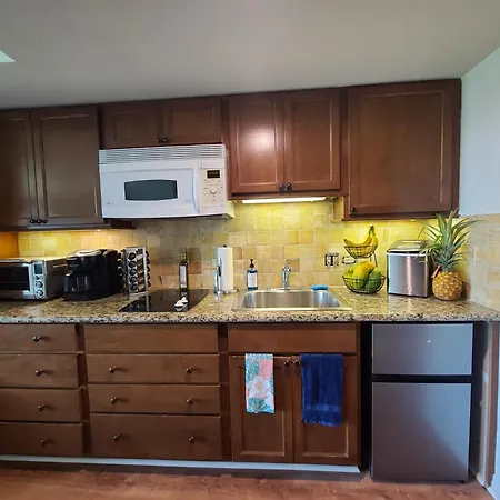 Studio Private Owned At Luana Hotel & Suites, Partial Ocean & City View, No Resort, And Valet Parking 40 A Day Reduced In Room Rate!!!-2