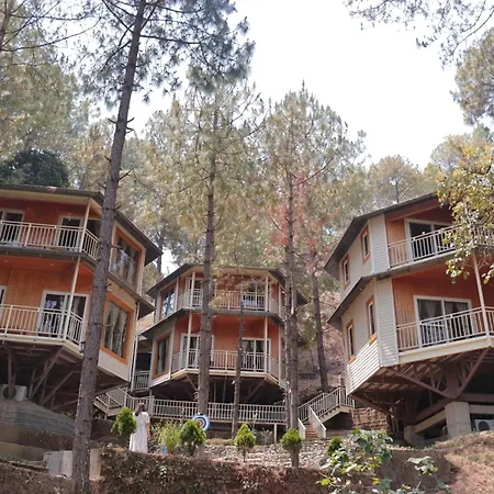 The Woods Retreat-2