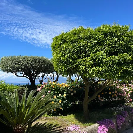 Sorrento Garden-3