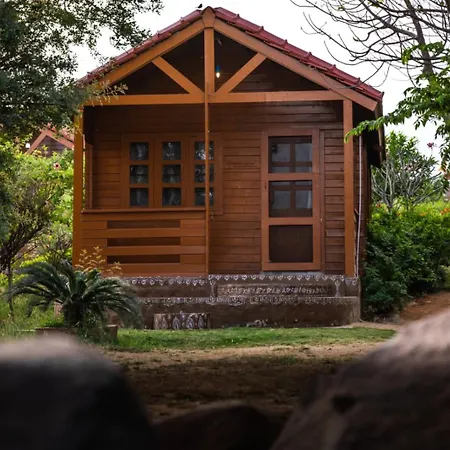 Leo Wooden Resorts-3