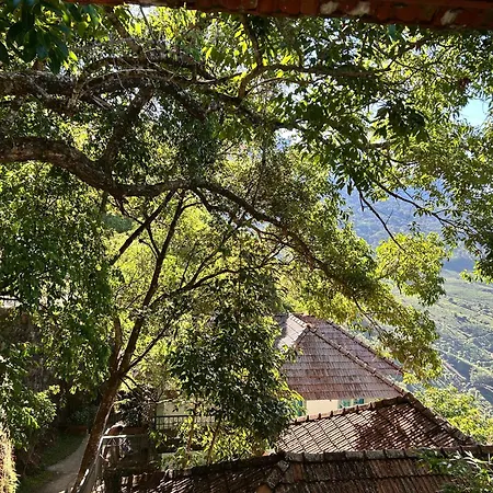Blackberry Hills Munnar Nature Resort & Spa-2