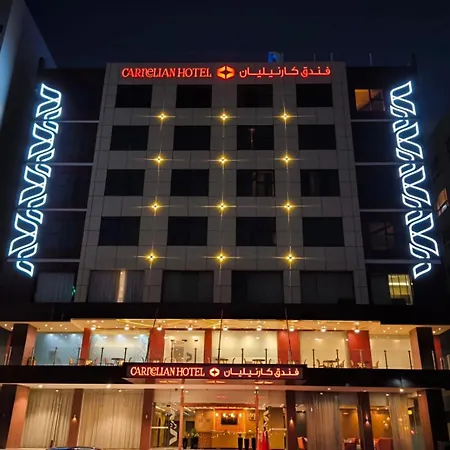 Carnelian Muscat - Airport Hotel-2