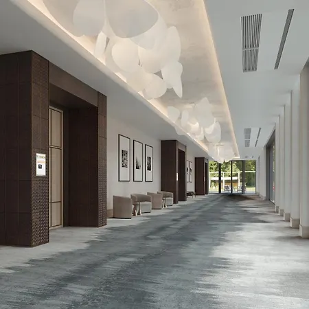 Hilton Jacksonville At Mayo Clinic-2