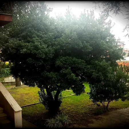 La Casa Degli Oleandri-2