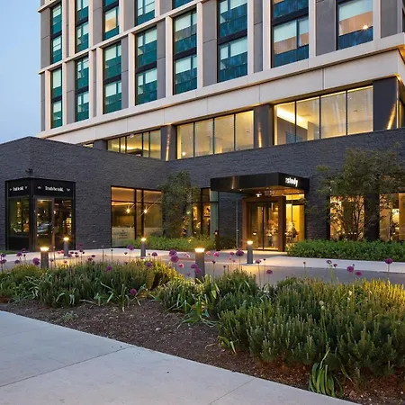 The Study At The University Of Chicago-2
