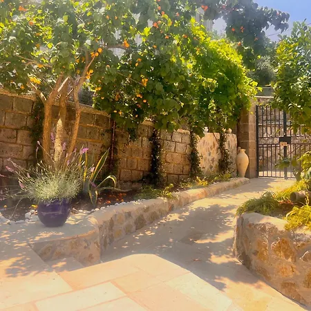 Casa Tua - Countryhouse--3