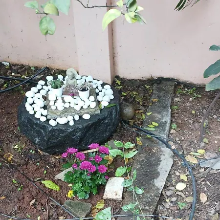Garden Villa, Hyderabad-2