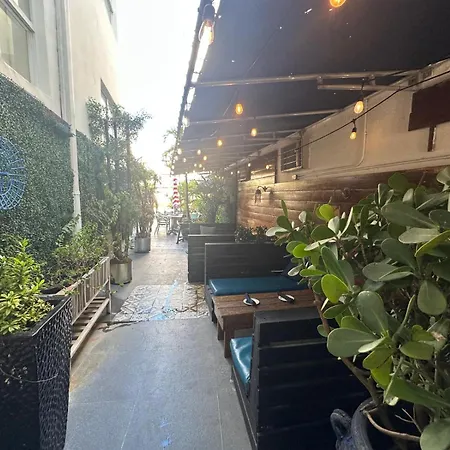 Maxine'S Dorset Catalina Hotel-3