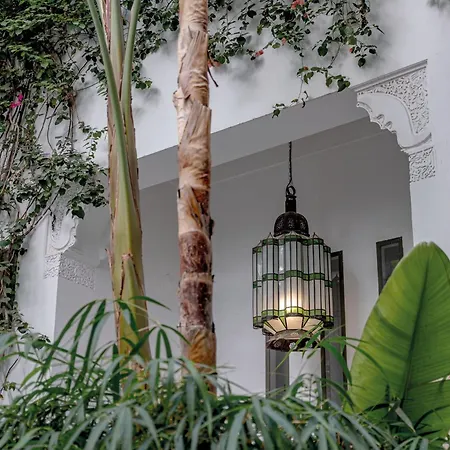 Riad Jaaneman-3