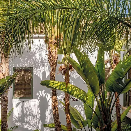 Riad Jaaneman-3