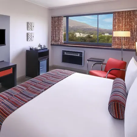 Southern Sun Newlands-2