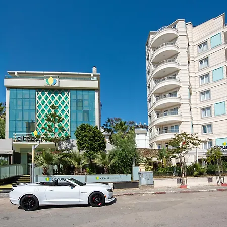 Citrus Park Hotel-2