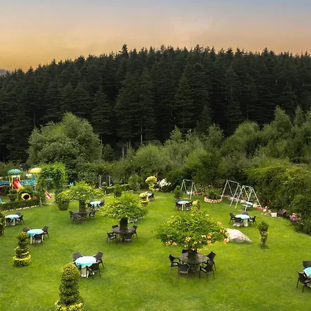 Snow Valley Resorts & Spa Manali-2