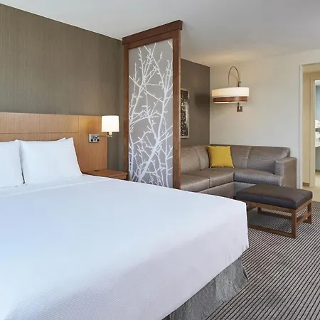 Hyatt Place Toronto Mississauga And Luxe Convention Centre-2