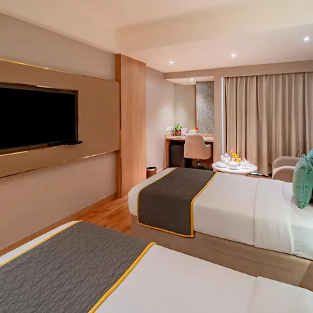 Effotel By Sayaji Indore-3