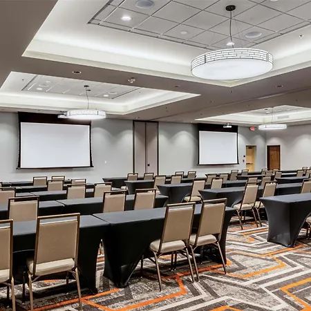 Drury Plaza Hotel Dallas Arlington-2
