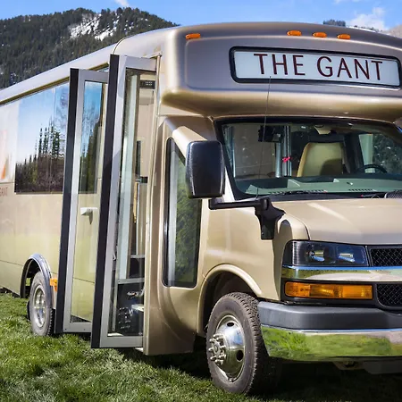 The Gant-3