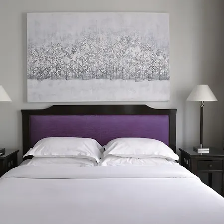 Hotel Royal Saint Honore Paris Louvre-2