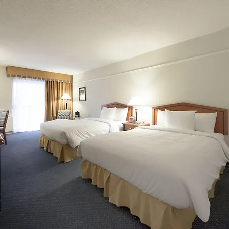 Toronto Don Valley Hotel And Suites-3