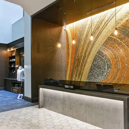 The Cincinnatian Curio Collection By Hilton-3