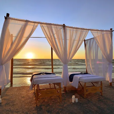 The Don Cesar-2