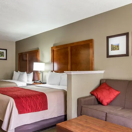 Comfort Inn & Suites At Dollywood Lane-2