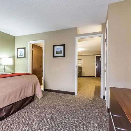 Comfort Inn & Suites Lexington - Hamburg I-75-2