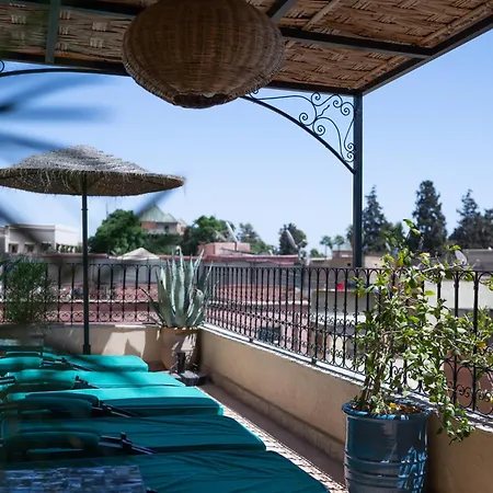Riad Ajmal-3