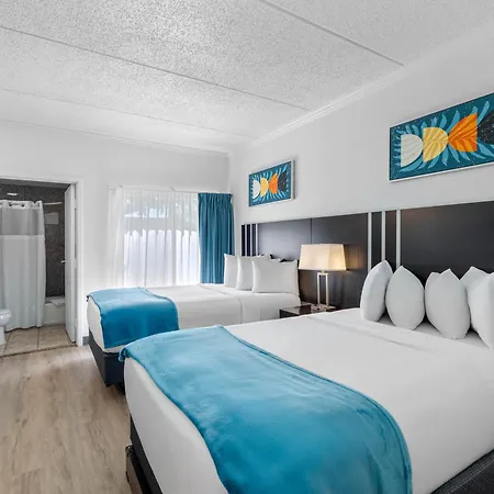 Oasis Bay Suites, Tampa, Busch Gardens, Usf-3