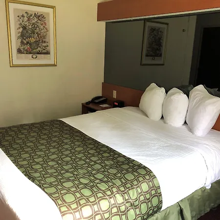 Sleep Inn & Suites Tallahassee-Capitol-3