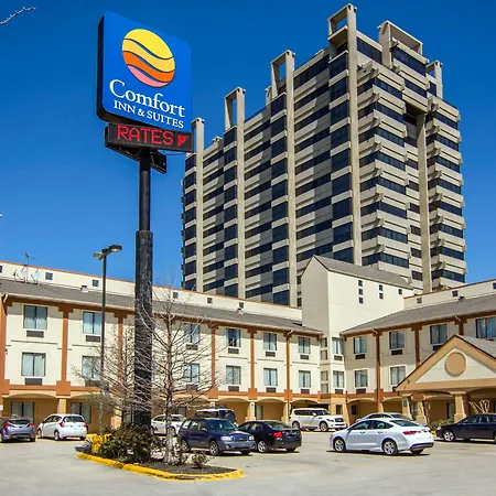 Comfort Inn & Suites Love Field-Dallas Market Center-2
