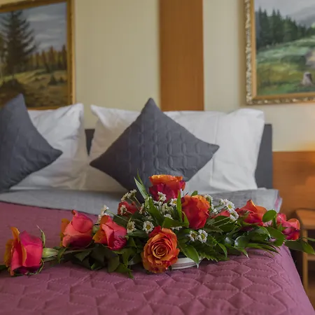 Top Hotel Praha-2